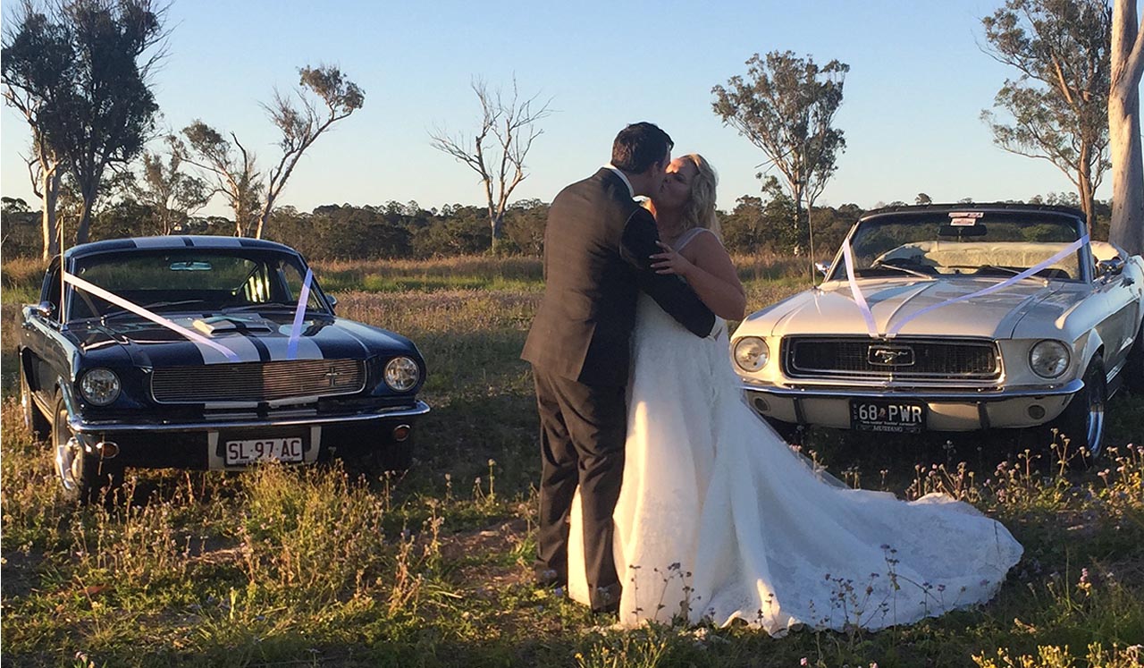 Front View Blue Shelby 1965 Mustang Fastback Wedding event Brisbane botanic gardens