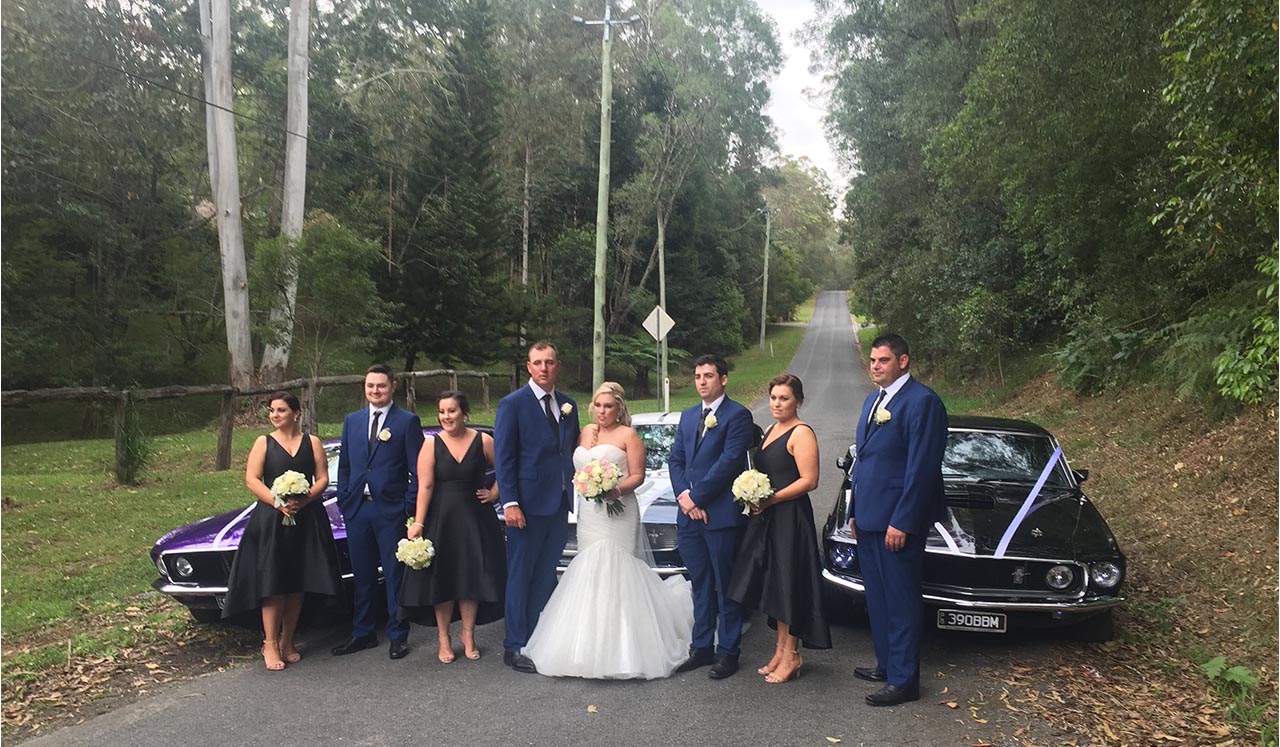 Side view Blue Shelby 1965 Mustang Fastback  - 2 hot bridal models wedding expo Montville